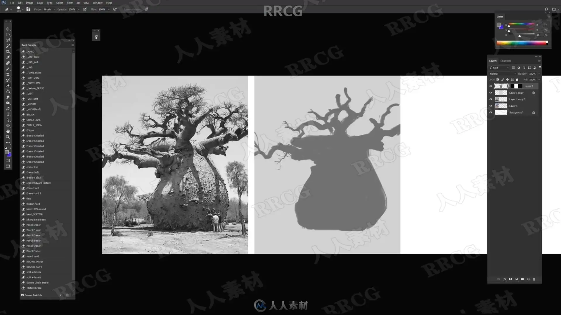 风格化树木植物数字绘画全流程视频教程