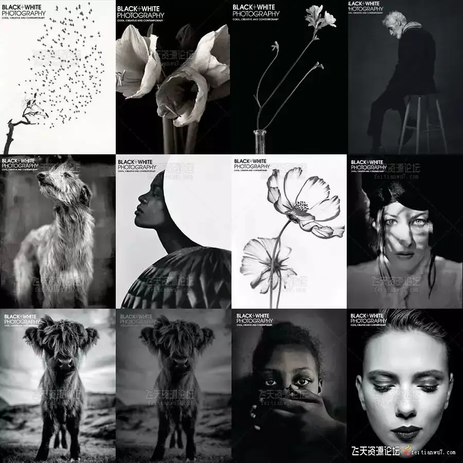 Black White Photography 美国黑白摄影杂志2009-2020年合集收藏版(全110本)