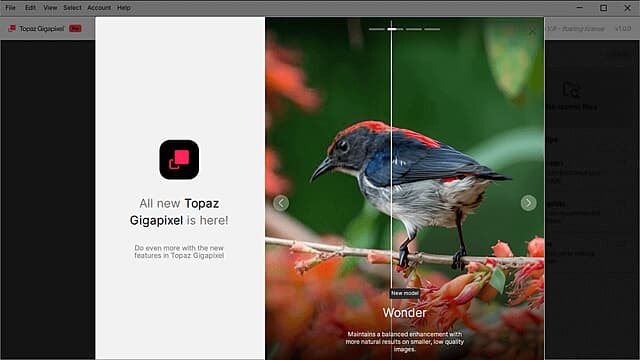 <a href='https://www.sblzyw.com/tag/topaz-gigapixel-ai'>Topaz Gigapixel AI</a> 图像超分辨率软件 v1.3.1 全功能解锁直装版 (1)