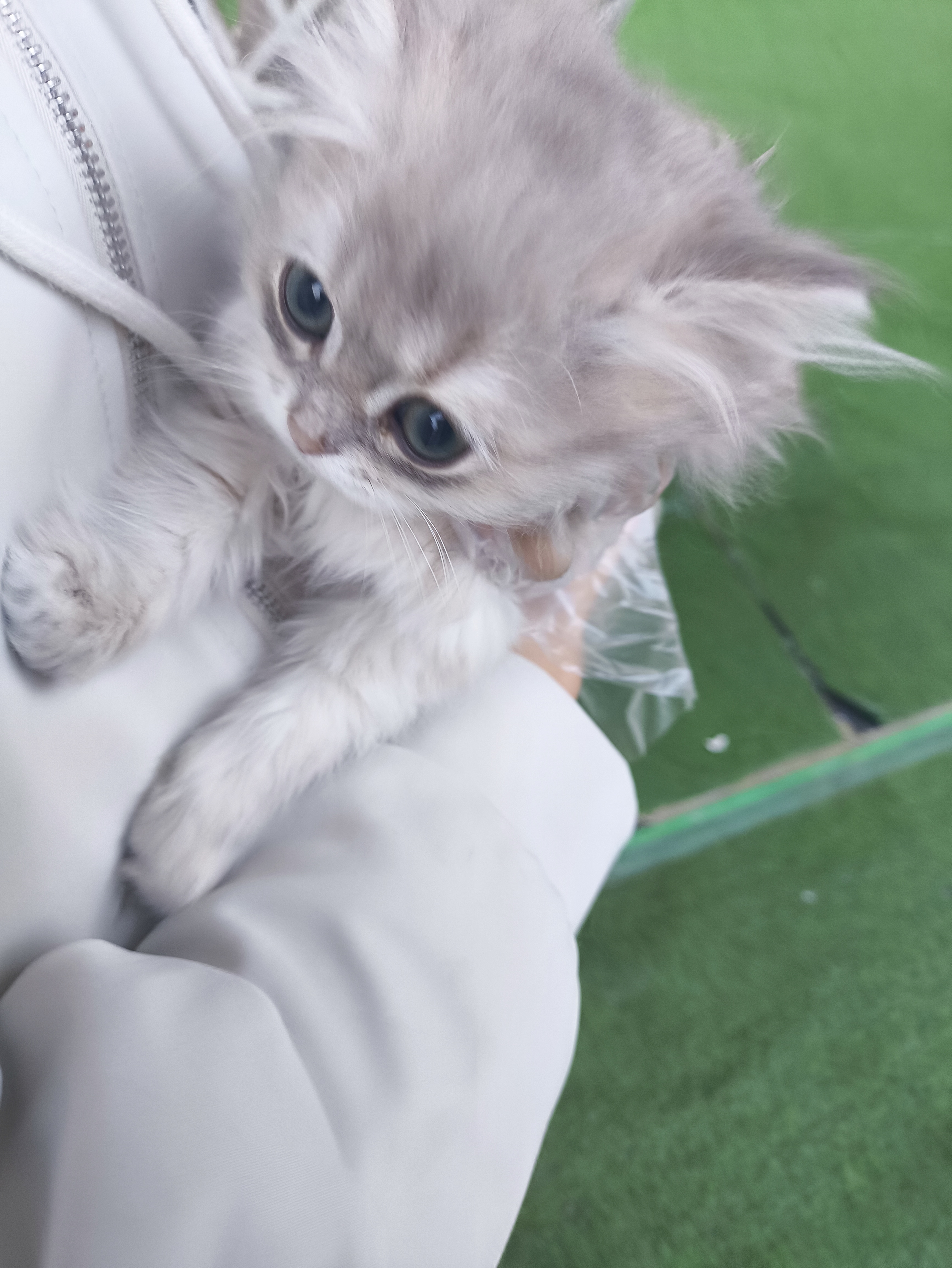 1777212804685.jpg
