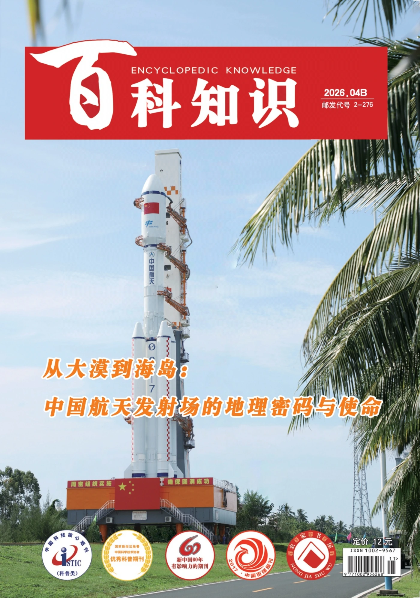 百科知识 2026年第8期 PDF