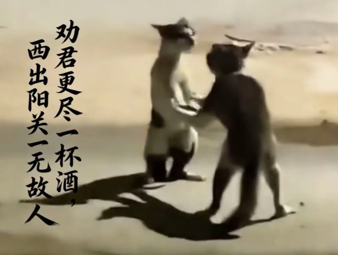 劝哈更近一杯酒，西出阳关无基米封面