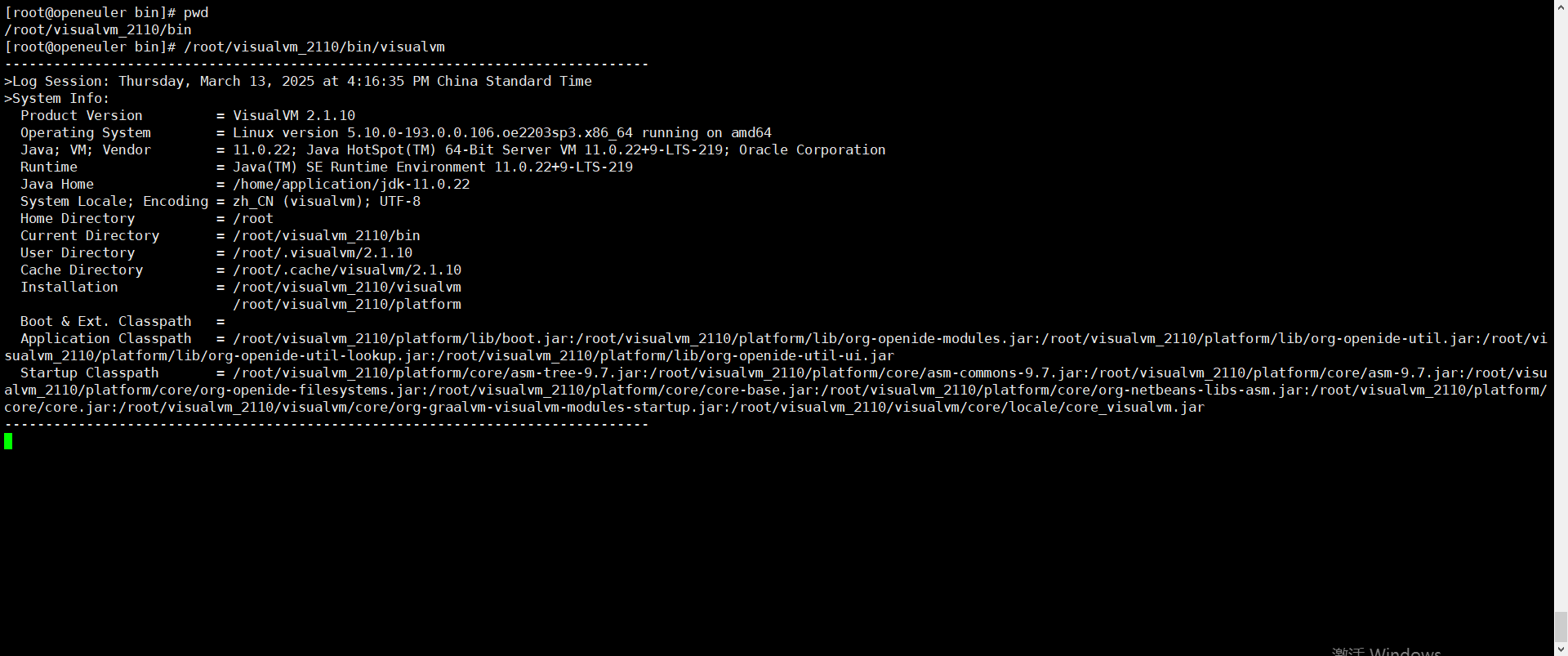 image-20250313161642000